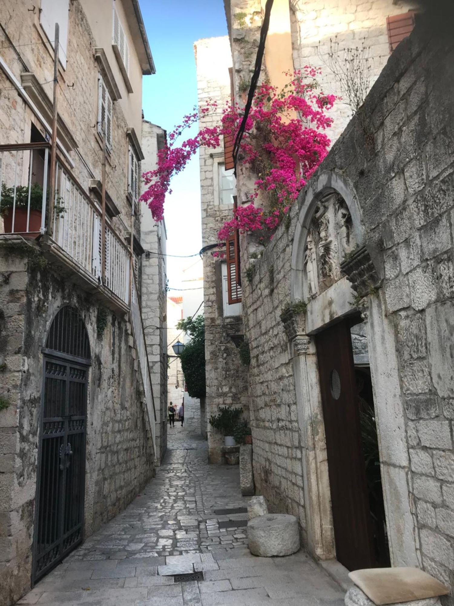 Vila Zrina - Apartmani Trogir Cameră foto